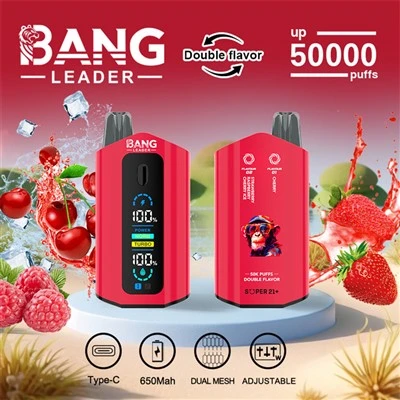 Bang Leader 50000 Puffs Vape Double Flavours Wholesale Europe